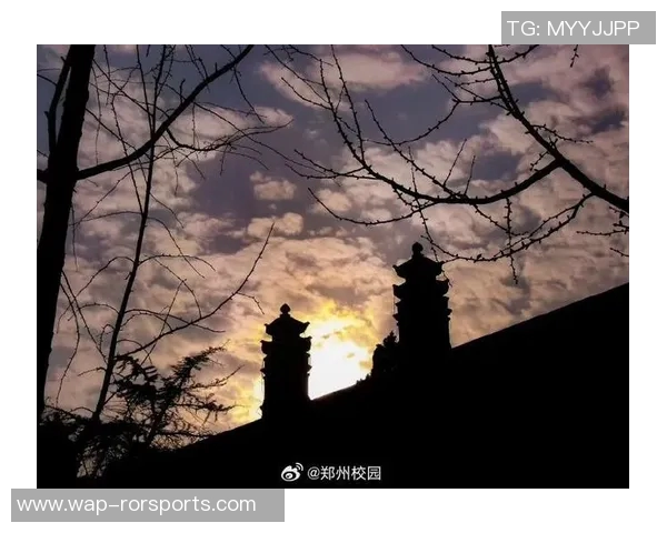 运动数据刘秀英独家分享飞盘技巧与心得体会助你轻松掌握这项运动的乐趣与魅力